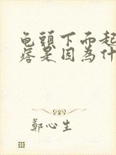 龟头下面起小疙瘩是因为什么