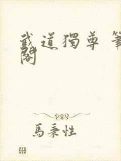 武道独尊 笔趣阁