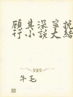 顾其深宁挽沈知行小说大结局