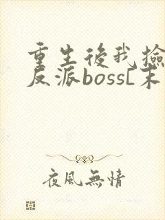 重生后我捡到了反派boss[末世]