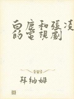 白鹿和张凌赫演的电视剧