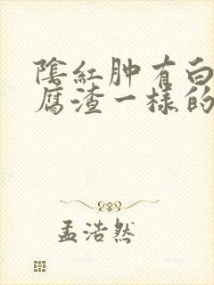 阴红肿有白色豆腐渣一样的分泌物封面