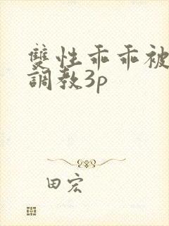 双性乖乖被灌满调教3p