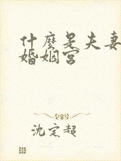 什么是夫妻宫和婚姻宫封面