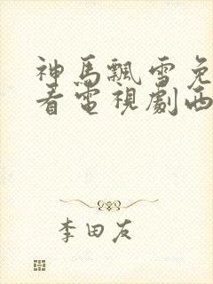 神马飘雪免费观看电视剧西瓜影院