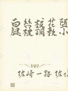 白丝校花堕落玉腿被调教小说