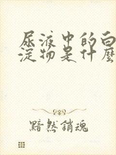 尿液中的白色沉淀物是什么