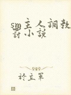 sm主人调教惩罚小说