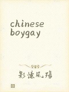 chineseboygay封面