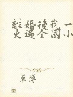 离婚后我一首歌火遍全国小说txt封面