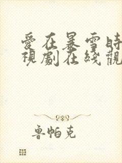 爱在暴雪时分电视剧在线观看免费