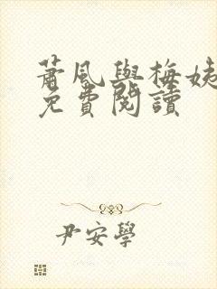 萧风与梅姨小说免费阅读