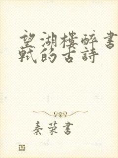 望湖楼醉书宋苏轼的古诗封面