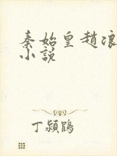 秦始皇赵浪穿越小说封面