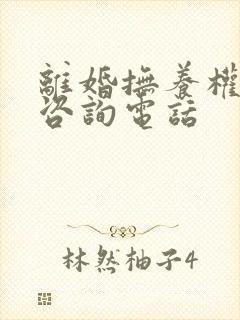 离婚抚养权律师咨询电话