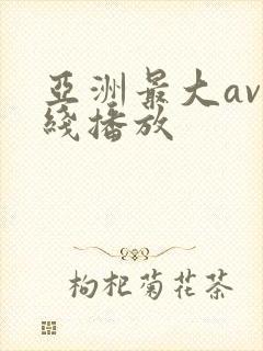 亚洲最大av在线播放
