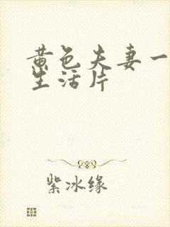 黄色夫妻一级性生活片