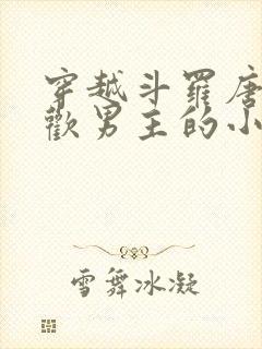 穿越斗罗唐三喜欢男主的小说封面