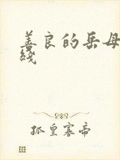 善良的岳母1在线