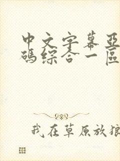 中文字幕亚洲乱码综合一区二区