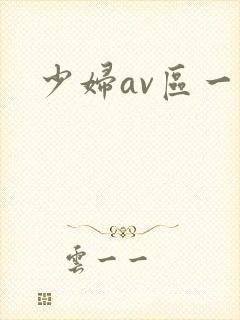 少妇av区一