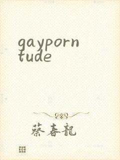 gayporntude