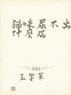 猫咪尿不出尿是什么病封面