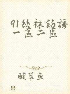 91丝袜的诱惑一区二区