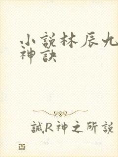 小说林辰九天斩神诀
