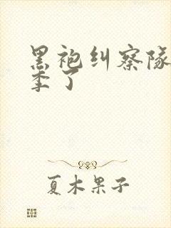 黑袍纠察队多少季了