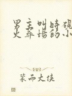 男主叫时砚追妻火葬场的小说