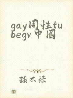 gay同性tubegv中国封面