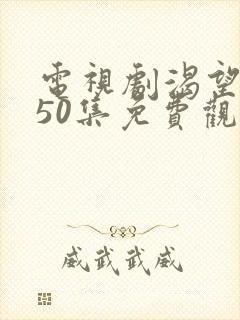 电视剧渴望1—50集免费观看全部封面