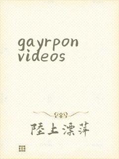 gayrponvideos封面