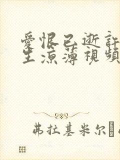 爱恨已逝许我半生凉薄视频