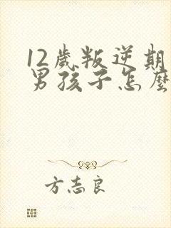 12岁叛逆期的男孩子怎么去引导