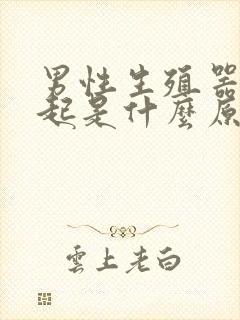 男性生殖器不勃起是什么原因