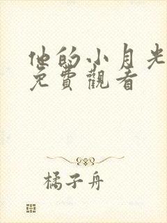 他的小月光短剧免费观看