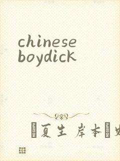 chineseboydick封面