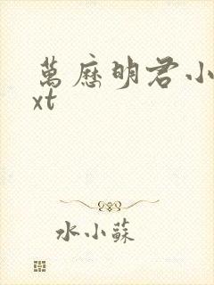 万历明君小说txt