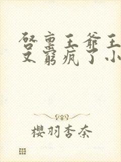 启禀王爷王妃她又穷疯了小说