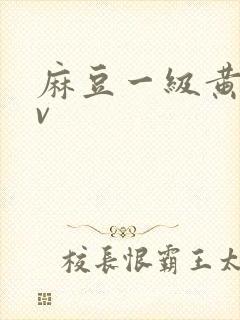 麻豆一级黄色av