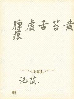 脾虚舌苔黄有齿痕