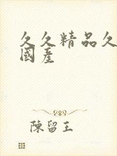 久久精品久久久国产封面