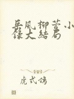 岳风柳萱小说目录大结局封面