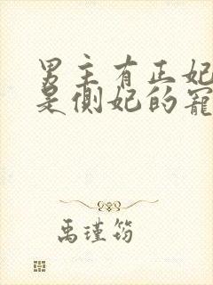 男主有正妃女主是侧妃的宠文