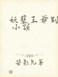 妖孽王爷别乱来 小说封面