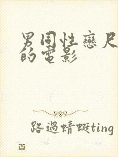 男同性恋尺度大的电影