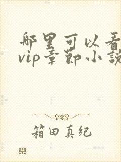 哪里可以看飞卢vip章节小说