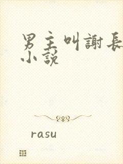 男主叫谢长晏的小说封面